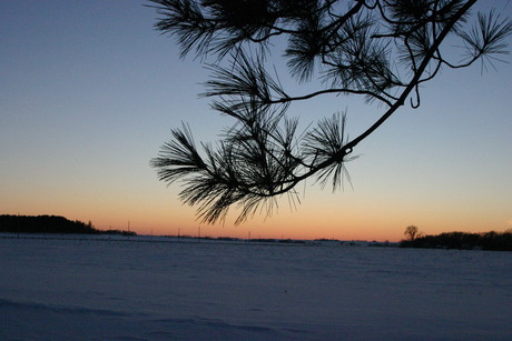 Snowy Stanton 2