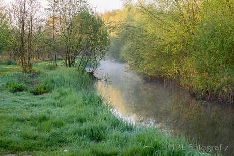 Dommel en grasklokje