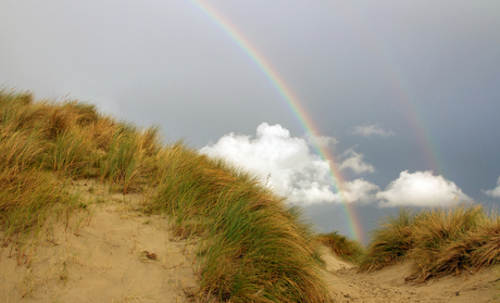 Op de kop van Texel