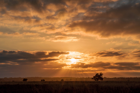 Landschap