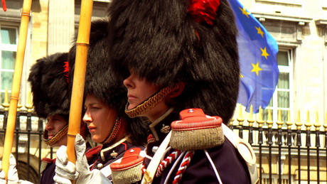 2009 Belgische Nationale Feestdag