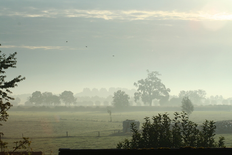 ochtend in Voorst