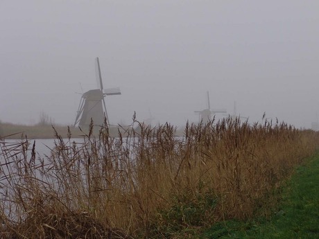 Kinderdijk in de mist