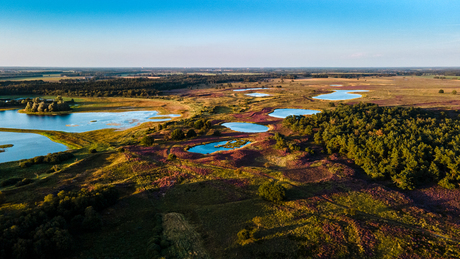 Het Hijkerveld met zijn dynamische natuur