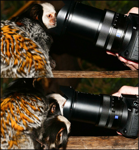 na een paar daagjes rust.......................1