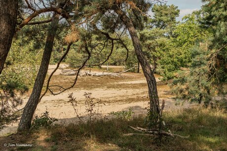 Zandverstuiving Rosmalen