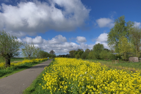 Dat is mooi hardlopen