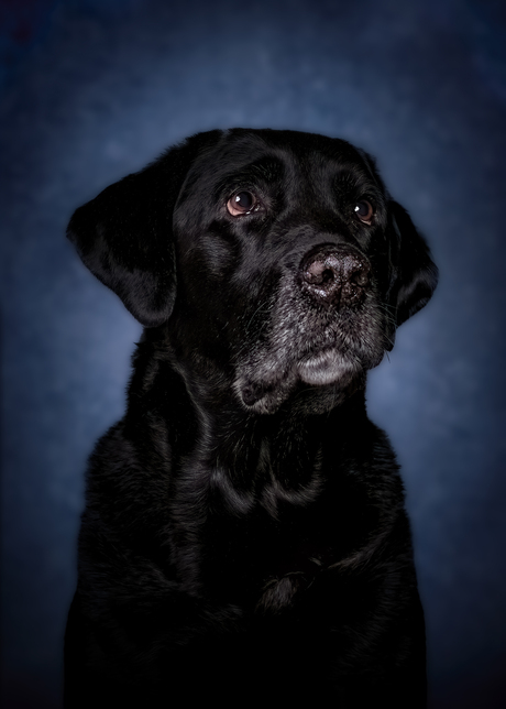 Finley