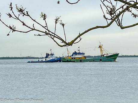 Duw transport