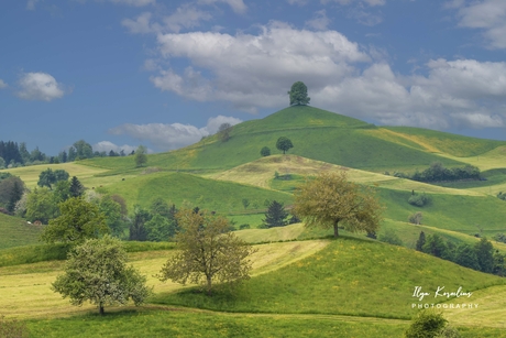 Heuvellandschap bij Hirzel
