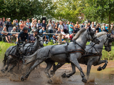 EK VIERSPANNEN EN WK PARAMENNEN 2023 IN EXLOO