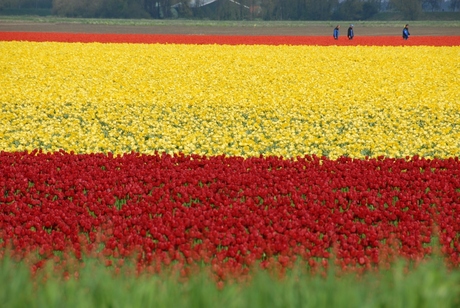 zomer gevoel