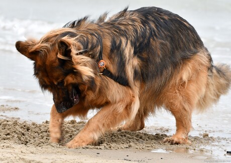 Spelen in het zand