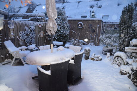 Sneeuw in de tuin 