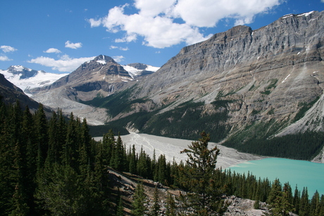 lake peyto canada