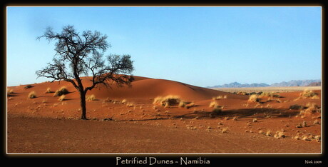 Petrified Dunes