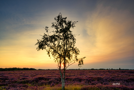 Zonsondergang!