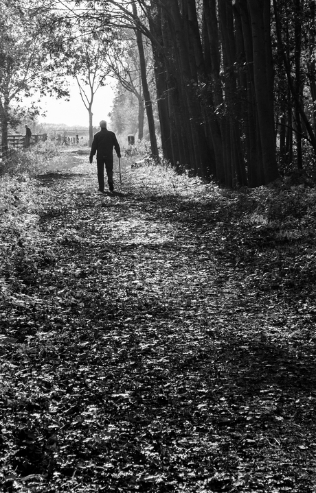 Old man taking a walk
