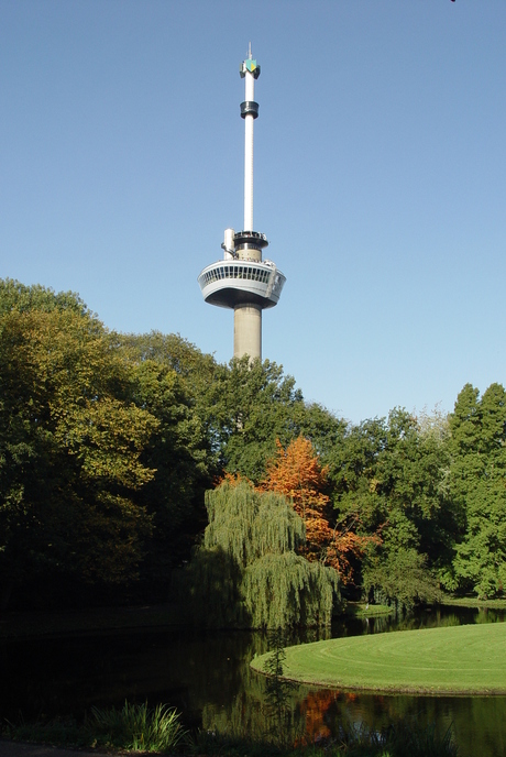 Dag in het park