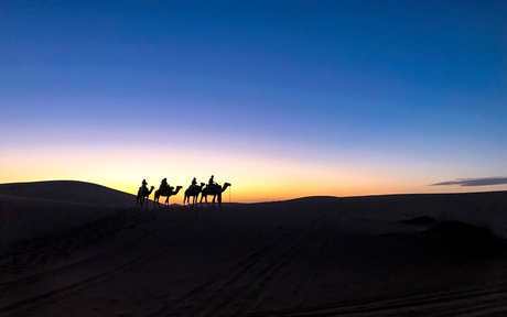 Tocht op de kameel - Merzouga woestijn, Marokko