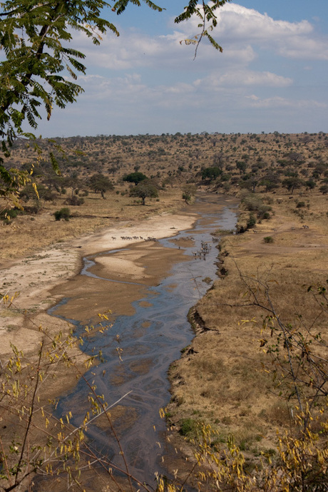 Uitzicht op de Serengeti in Tanzania