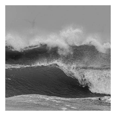 Onze mooie Noordzee.. 