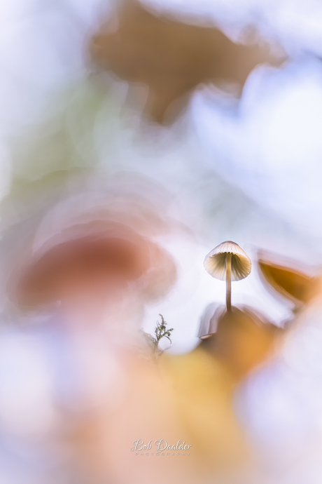 Na regen komt zonneschijn.... 