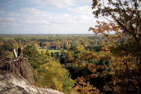 Schoorlse Duinen