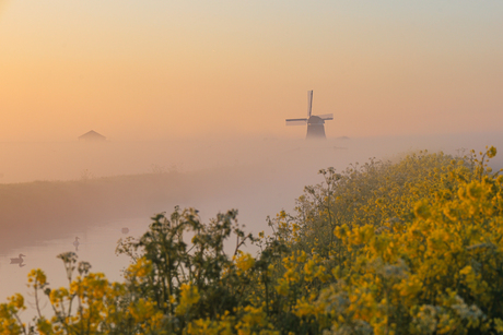 Mooie lente ochtend 