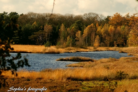 Nieuw milligen / De Veluwe