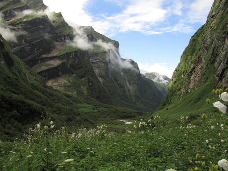 Nepal - A.B.C. trek