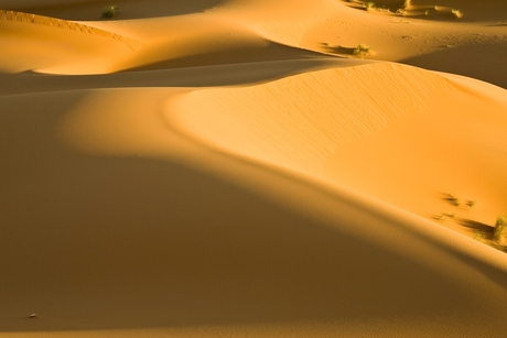 Sahara bij avond