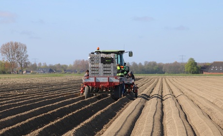 Het boerenleven..............