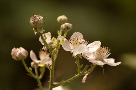 20130725_10kopie.jpg