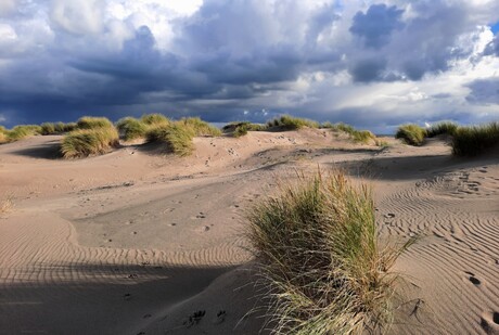 Lichtval over het Duin.