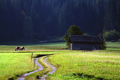 Aan de Weissensee