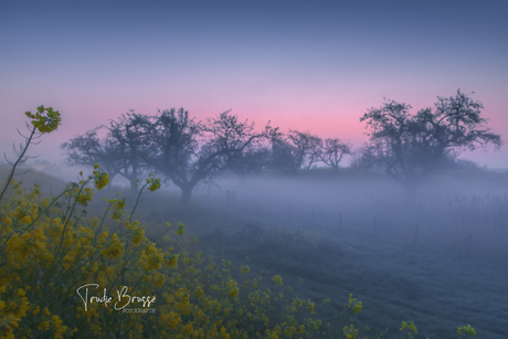 Werk aan de Groeneweg 