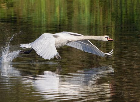 Ready for take-off.