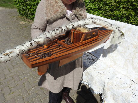 Romeinse zadenschip. Nijmegen 2026