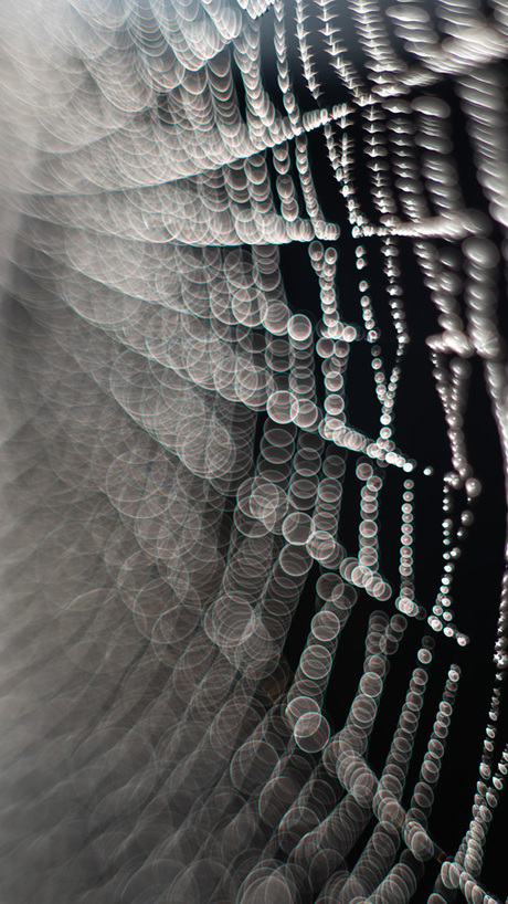 Spiderweb bokeh