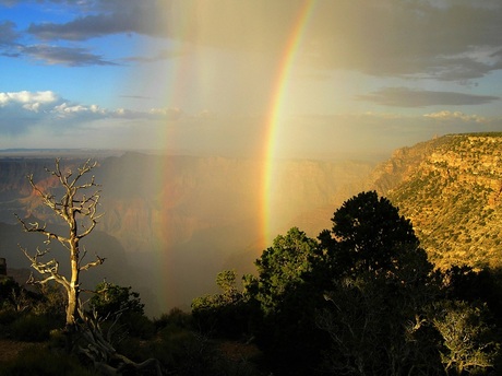 Verenigde Staten - Grand Canyon 2008