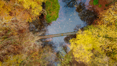 Het waterloopbos