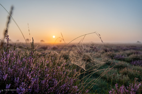 Zonsopkomst op de Stakenberg 