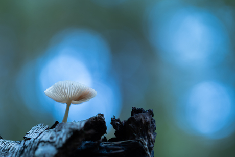 Genieten van de herfst!