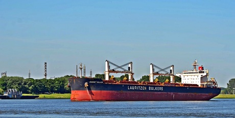 gannet bulker