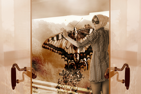 Hotel Butterfly