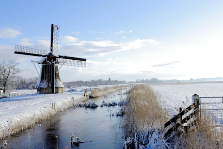 molen 2.CR2.JPG