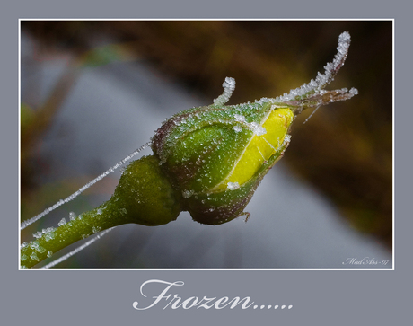 Frozen.....