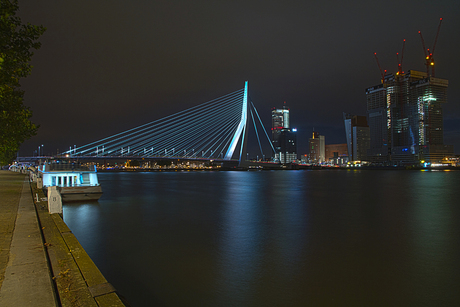 Rotterdam 5