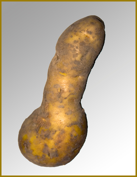 De aardappel is mannelijk